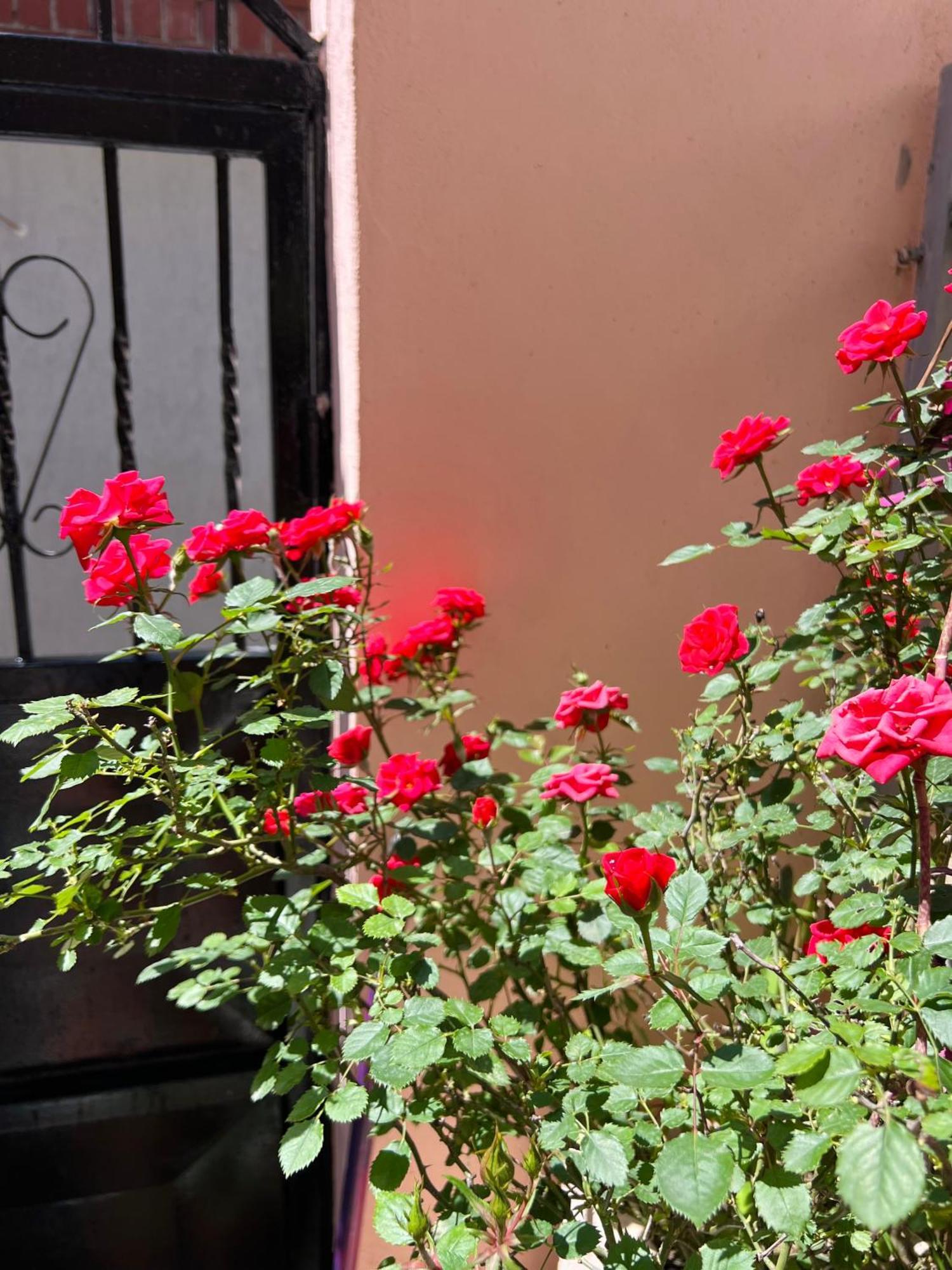 Villa Ensalv Berat - Apartment - Room - Penthouse Rom bilde